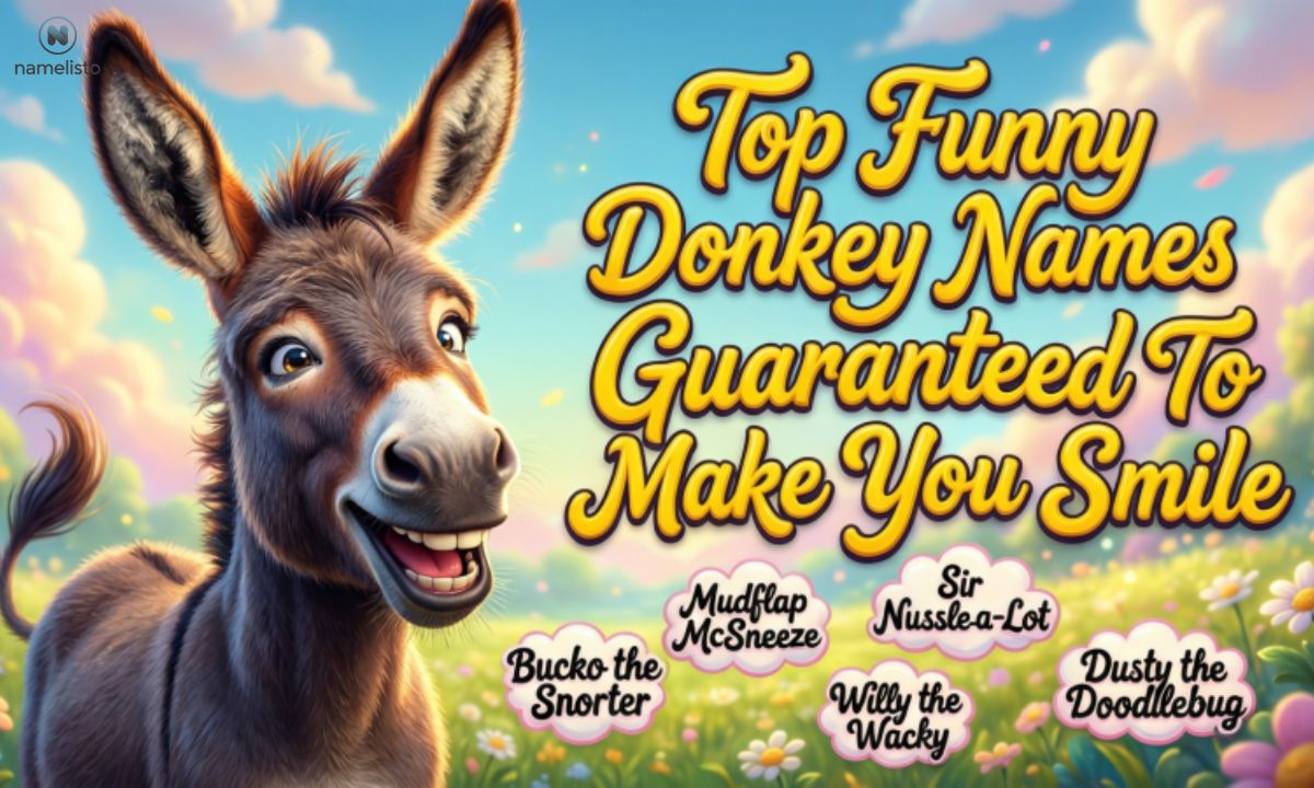 top-funny-donkey-names-guaranteed-to-make-you-smile